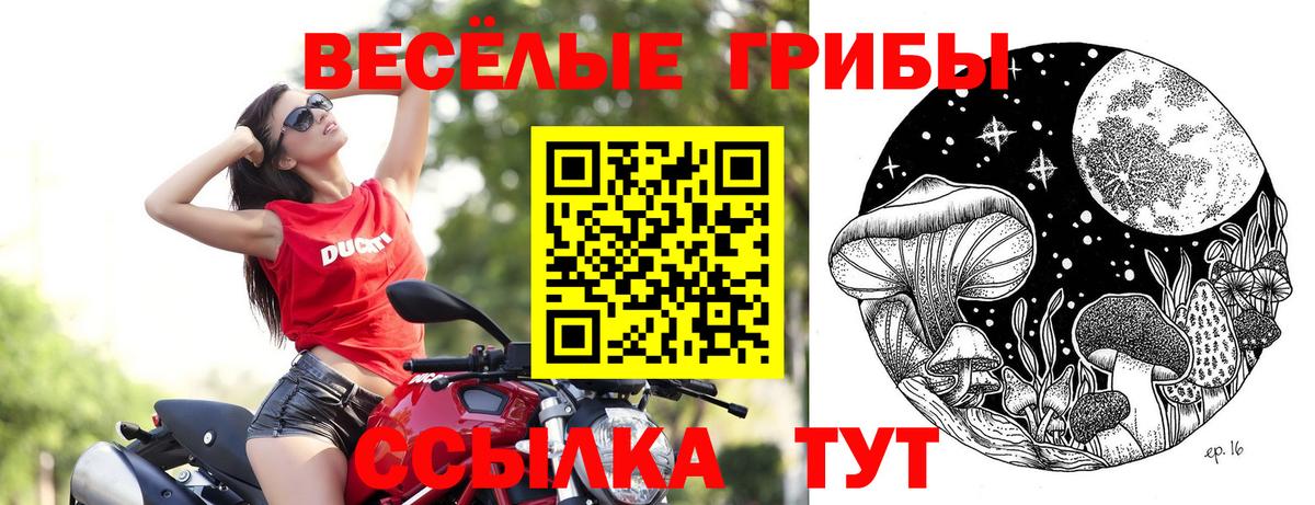 Галлюциногенные грибы мицелий  Вход с VPN  Моздок 